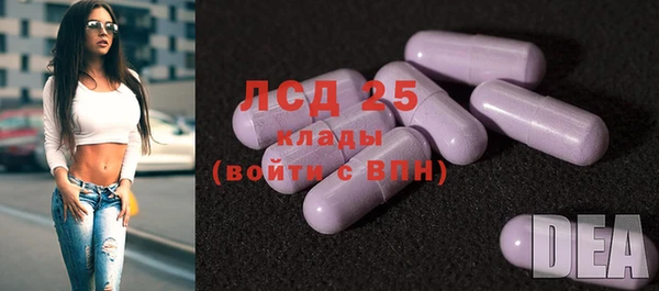 apvp Новодвинск