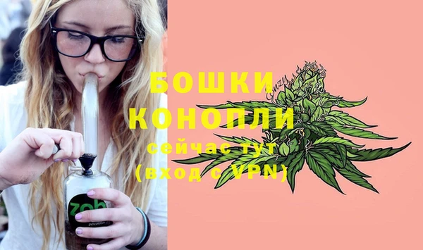 спайс Новозыбков