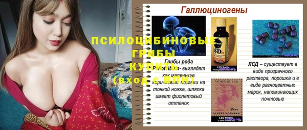 спайс Новозыбков