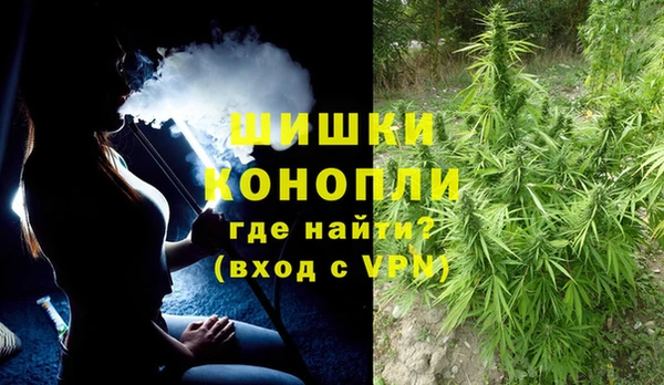 героин Бикин