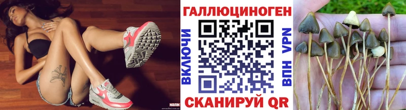 Галлюциногенные грибы MAGIC MUSHROOMS Безенчук